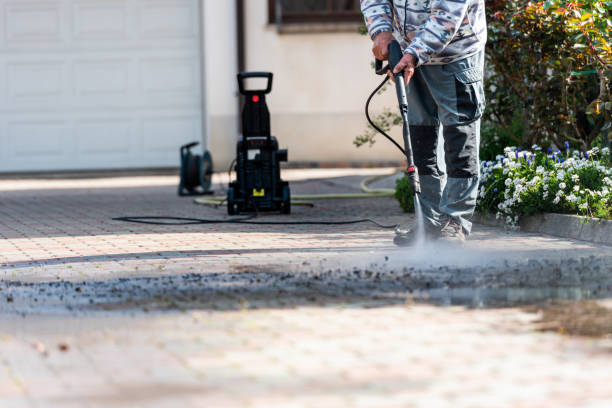 Best Roof Pressure Washing  in Denver City, TX